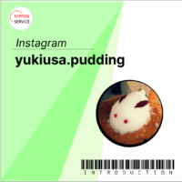 SNS Creator by <a href="https://www.instagram.com/yukiusa.pudding/" target="_blank" rel="noopener noreferrer">yukiusa.pudding</a>