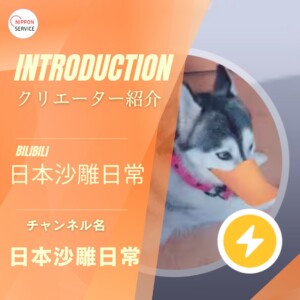 SNS Creator by <a href="https://space.bilibili.com/324753357" target="_blank" rel="noopener noreferrer">日本沙雕日常</a>